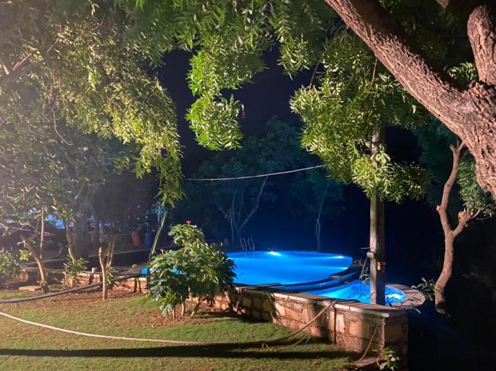 Amaltas Udaipur Exterior photo